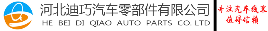 河北迪巧汽車(chē)零部件有限公司